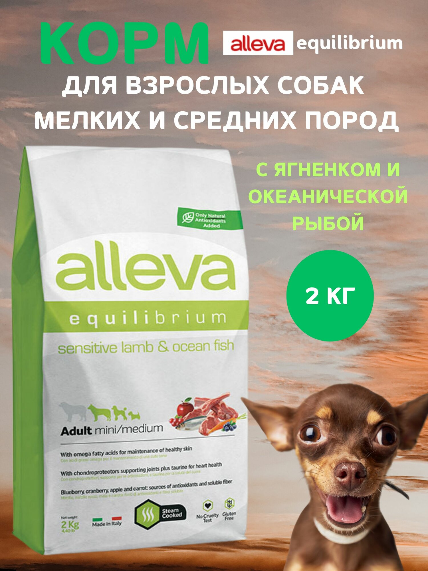 Корм Alleva Эквилибриум Сенситив для взрослых собак мелких и средних пород, с ягненком и океанической рыбой, 2 кг