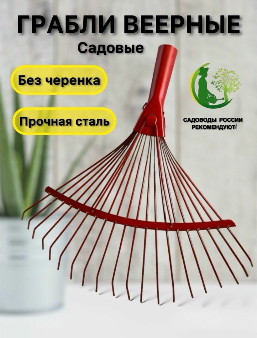 фото Грабли веерные металлические садовые проволочные усиленные 20 зубьев без черенка