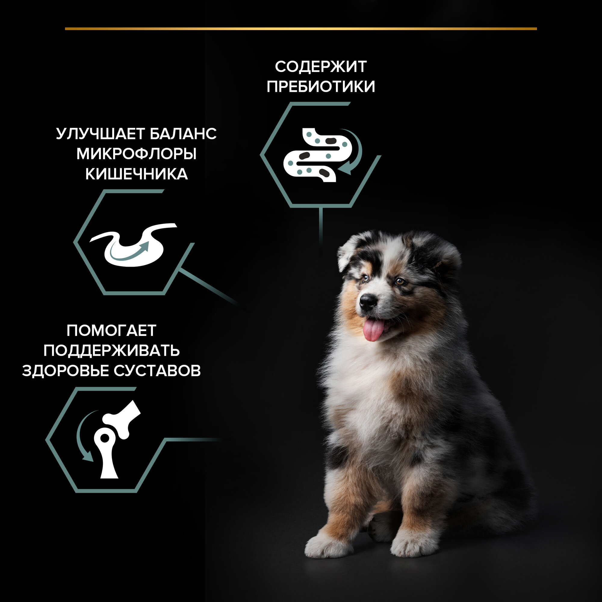 Pro Plan Medium Puppy Sensitive Digestion для щенков средних пород с чувствительным пищеварением Ягненок, 12 кг. — фото 1