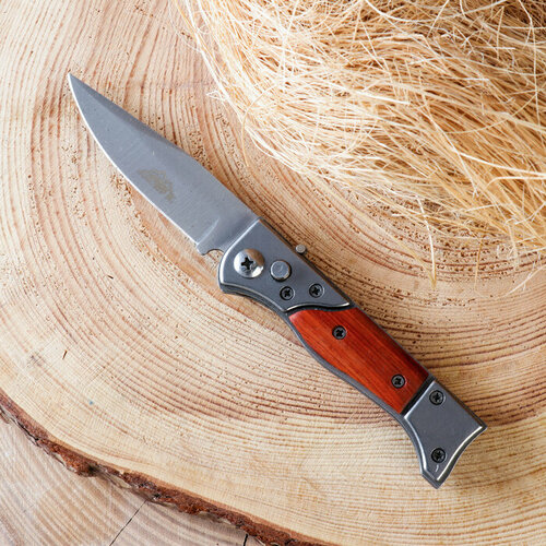 Нож складной Пескарь 17см, клинок 74мм/2,2мм (1шт.) нож садовый добрыня складной 17см