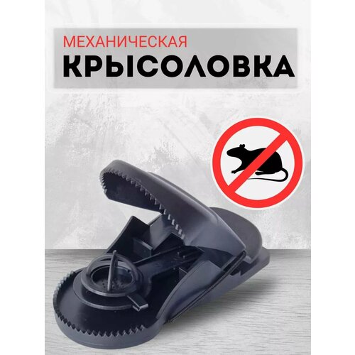 Крысоловка