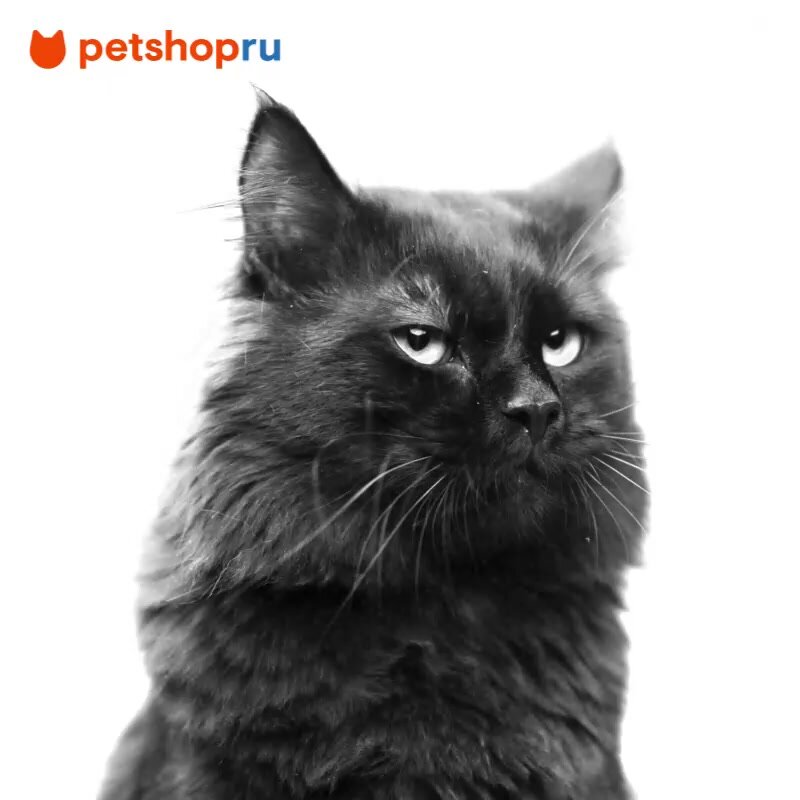 Корм Royal Canin сухой полнорационный сбалансированный для взрослых кошек, Dental Care, 1,5 кг. — фото 1