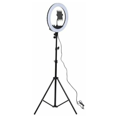 Кольцевая лампа 26см штатив 2 метра LED RING FILL LIGHT 179000₽