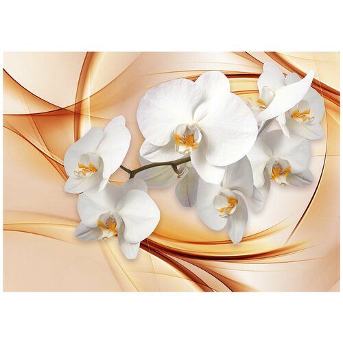 Белая орхидея в стекле - Виниловые фотообои, (211х150 см) белая орхидея фаленопсис 3d виниловые фотообои 211х150 см
