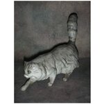 Статуэтка фарфор. Персидская кошка - изображение