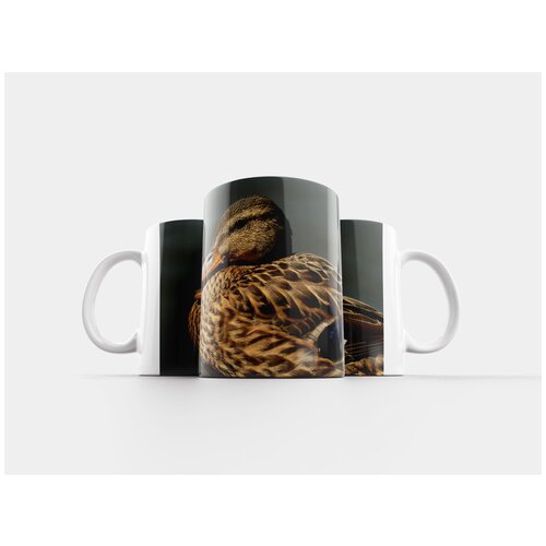 фото Кружка "кряква, утка, самка кряквы" 320 мл lotsprints