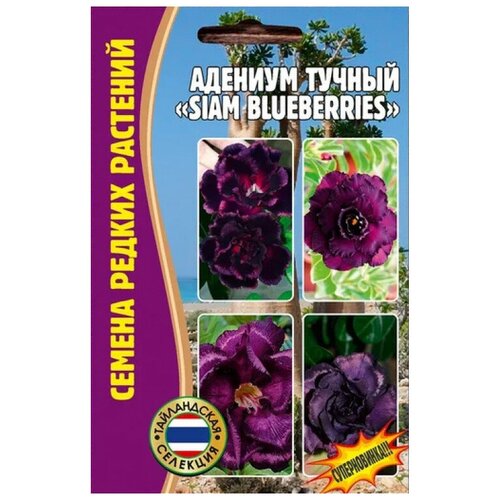 Семена Адениума тучного SIAM BLUEBERRIES (3 сем.) адениум siam blueberries 3 семени х 1 упаковка семена редких растений