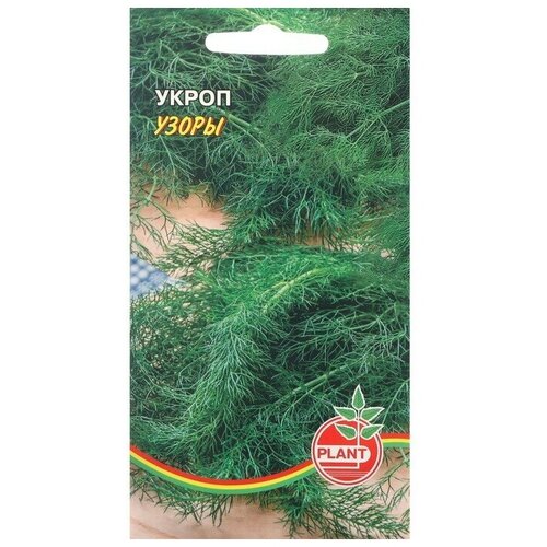 Семена Укроп Узоры, 1 г семена укроп узоры 1 г plant