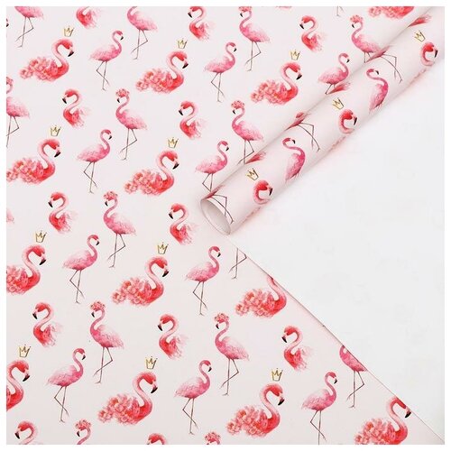 Набор бумаги упаковочной глянцевой Фламинго, 2 листа 50 × 70 см бумага упаковочная глянцевая фламинго 50 × 70 см 2 листа 6301299