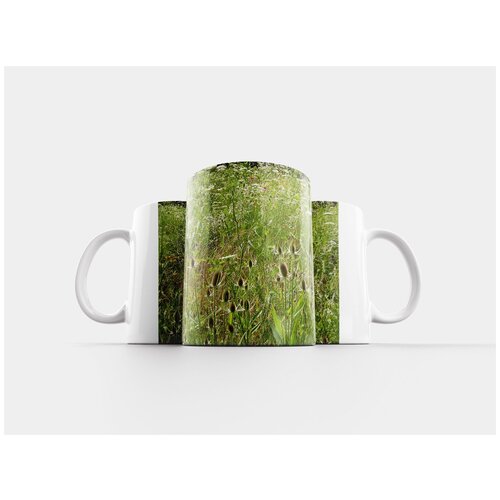 фото Кружка "полевые цветы, сорняки, летом" 320 мл lotsprints