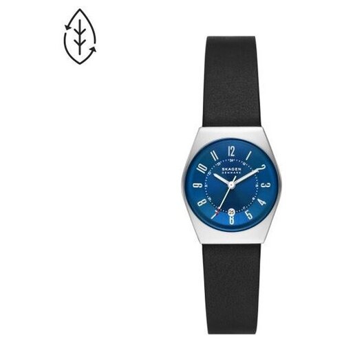 Наручные часы Skagen SKW3036