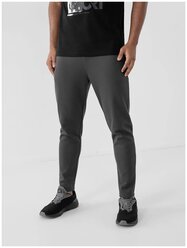 Брюки 4F Men'S Sweatpants Серый L H4Z21-SPMD010-24S