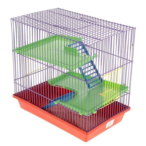 Клетка для грызунов 3-эт, пластиковые полки, лесенки, 36 х 24 х 38 см микс цветов 1065735 .