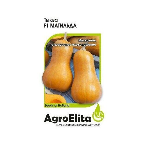 Семена. Тыква Матильда F1, Энза Заден (5 штук) семена морковь аурантина f1 энза заден вес 0 3 г