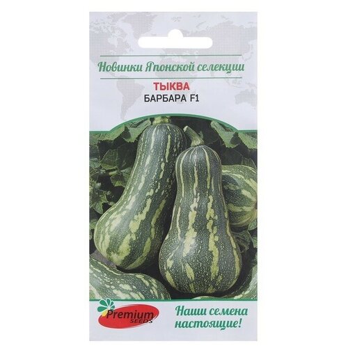 Семена Тыква Барбара F1 (Sakata Япония) 5 шт.