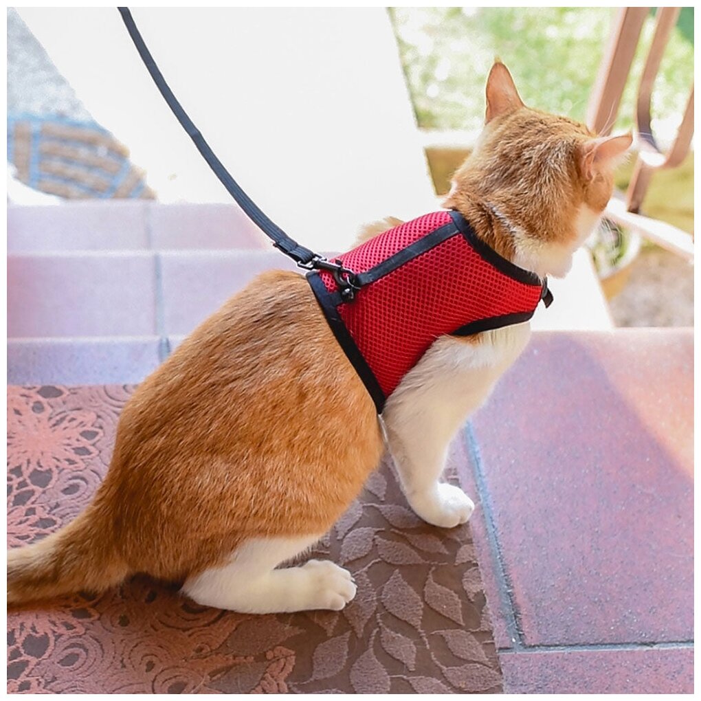 Мягкая шлейка с поводком Ferplast JOGGING XL красный, для кошек - фотография № 4