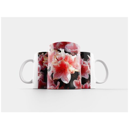 фото Кружка "азалия, цветок, завод" 320 мл lotsprints