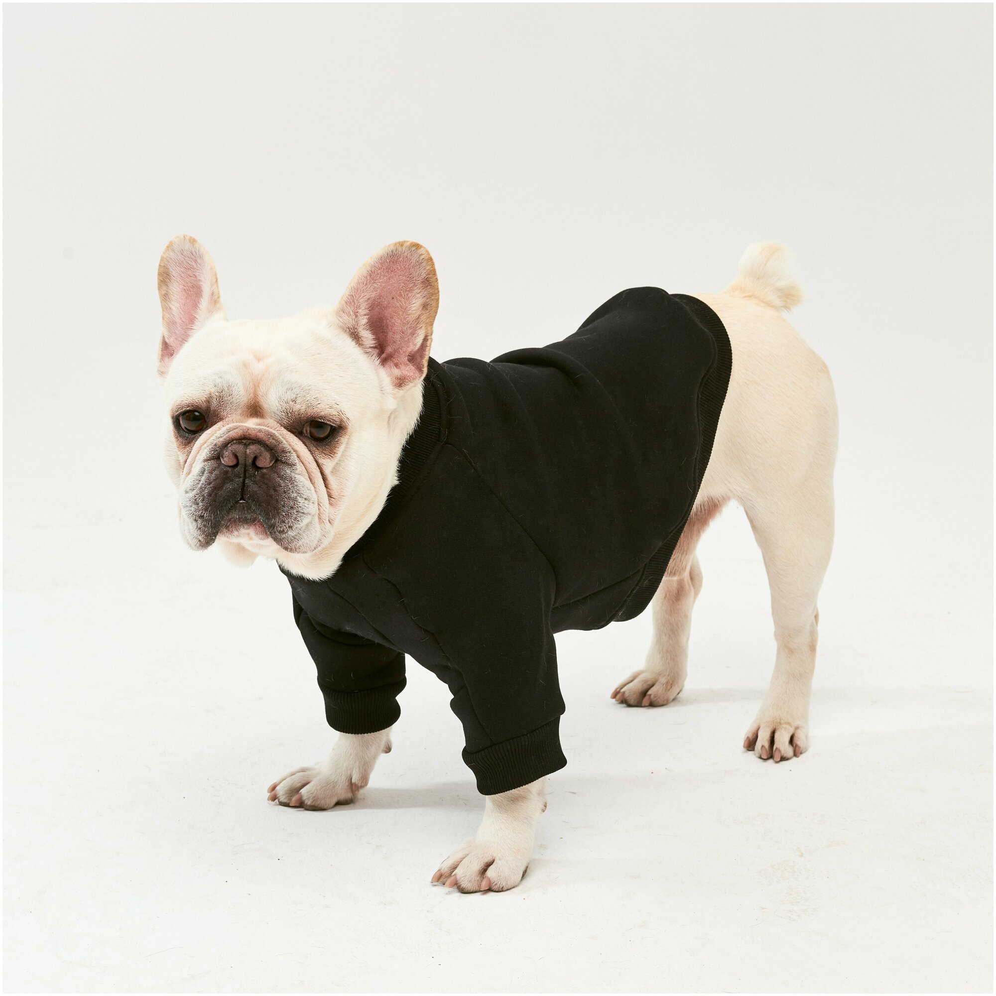 WOOFLER / Свитшот для французского бульдога, бультерьера и амстаффа, толстовка из футера, одежда для собак, цвет черный, размер S32