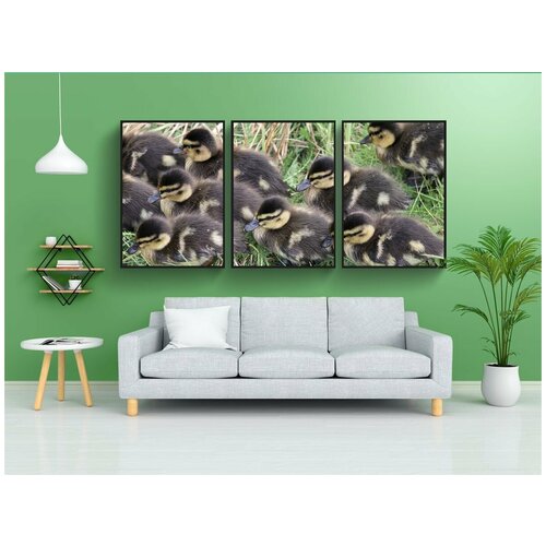 фото Набор модулных постеров для интерьера "утки, утята, луг" 60x90 см. в тубусе, без рамки lotsprints