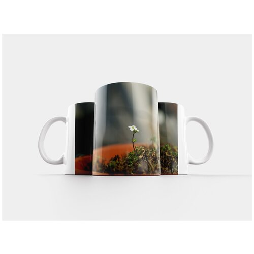 фото Кружка "одиночный цветок, закрывать, белый" 320 мл lotsprints