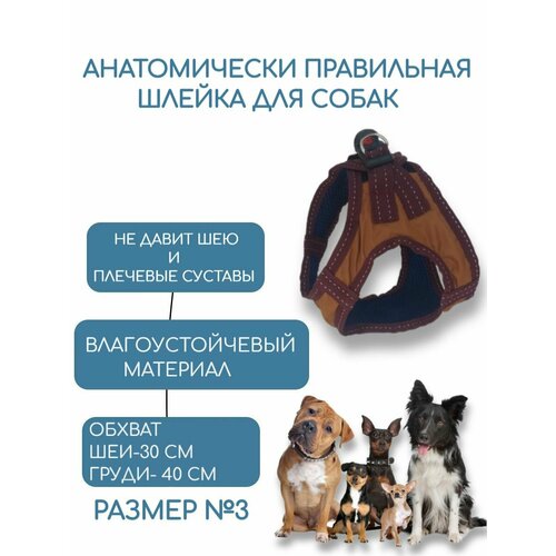 Шлейка для собак мелких и средних пород анатомическая №3 обхват груди 40 см/обхват шеи 30 см, коричневая