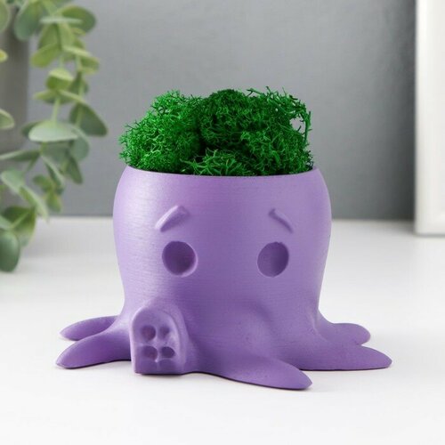 SUI Кашпо бетонное Осминог высота 7 см d- 65 см фиолетовый со мхом мох зелен стабилизир 656₽