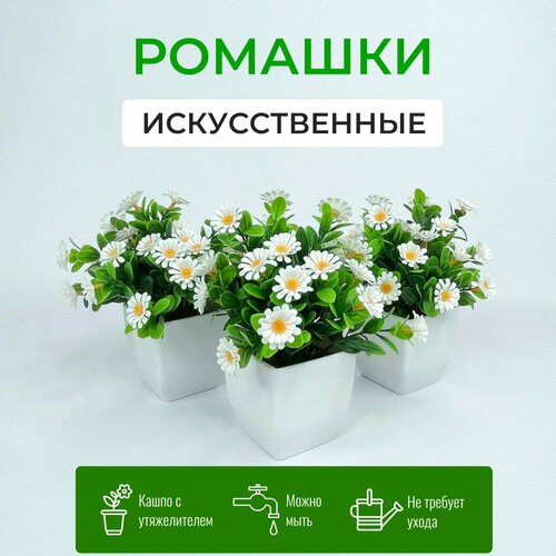 Ромашки в кашпо - 3 штуки