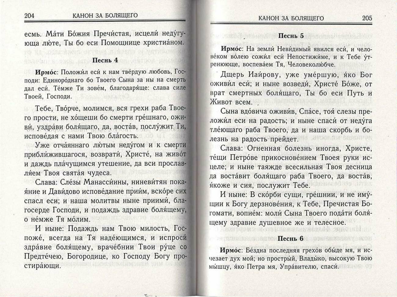 Молитвослов. Правило ко причастию. Молитвы за ближних. Каноны и акафисты. Молитвы на всякую потребу - фото №15