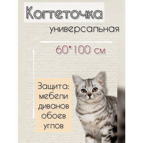 Когтеточка универсальная