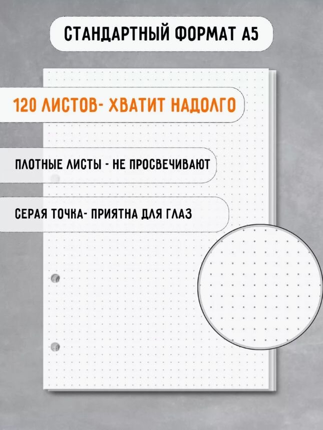 Cменный блок для тетради на кольцах А5 120 листов, в точку для школы и университета — фото 1