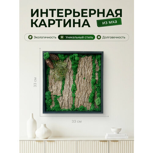 Картина из мха, панно из мха, картина интерьерная "Пихта" 33х33 Queen Wood