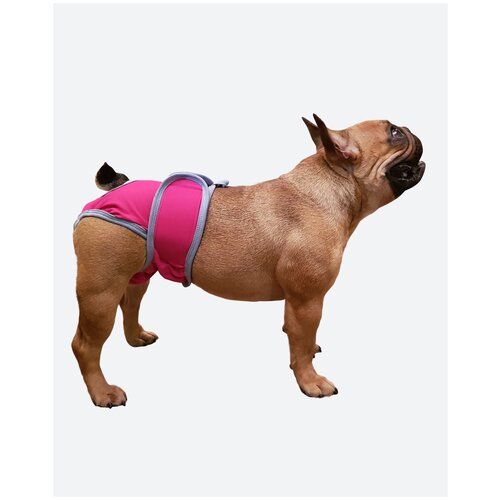 Трусы для собак размер М. Трусы для собак во время течки. Трусы для собак многоразовые