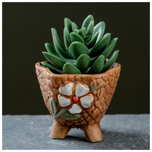 Горшок на ножках, конус, 6,5*6,5*6см