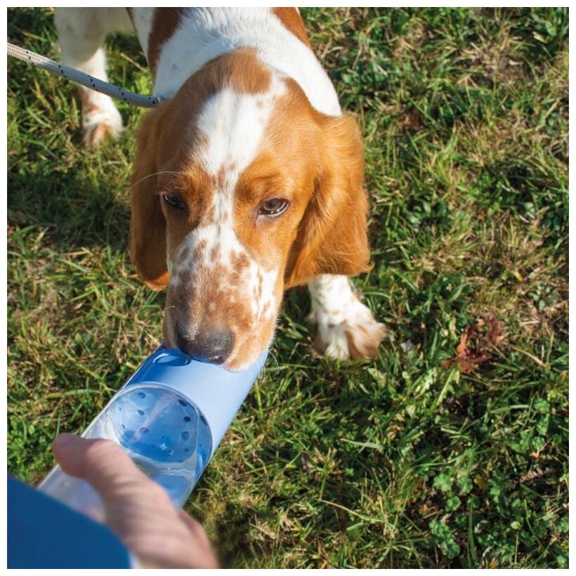 Бутылка для собак дорожная с кнопкой DUVO+ , оранжевая, 450мл (Бельгия) - фотография № 3