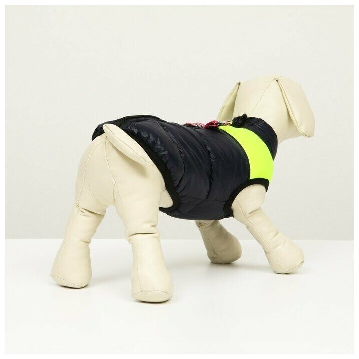 Одежда для животных. Куртка для собак на молнии, размер 8, синяя с жёлтым, 1 шт. - фотография № 2
