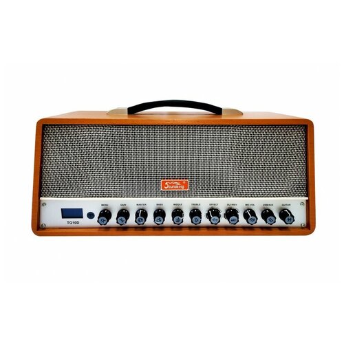 Soundking TG10D - Комбоусилитель