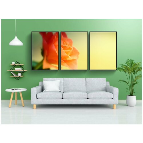 фото Набор модулных постеров для интерьера "роза, цветок, апельсин" 60x90 см. в тубусе, без рамки lotsprints