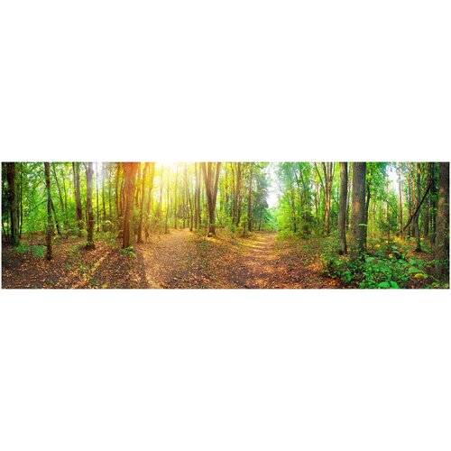 Фотообои Уютная стена Солнечный лес. Панорама 950х270 см Бесшовные Премиум (единым полотном)