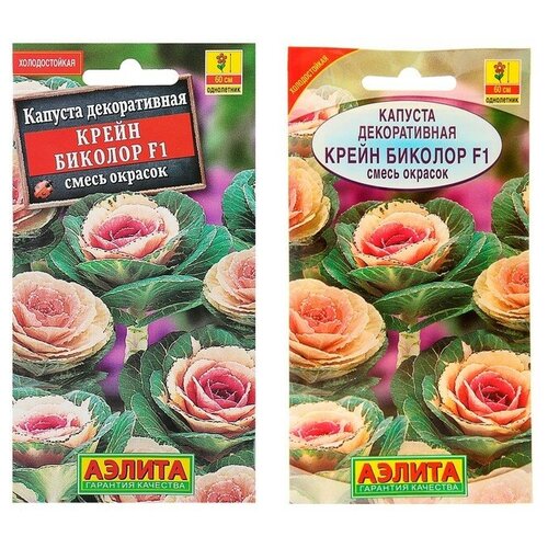 Агрофирма аэлита Семена цветов Капуста декоративная 