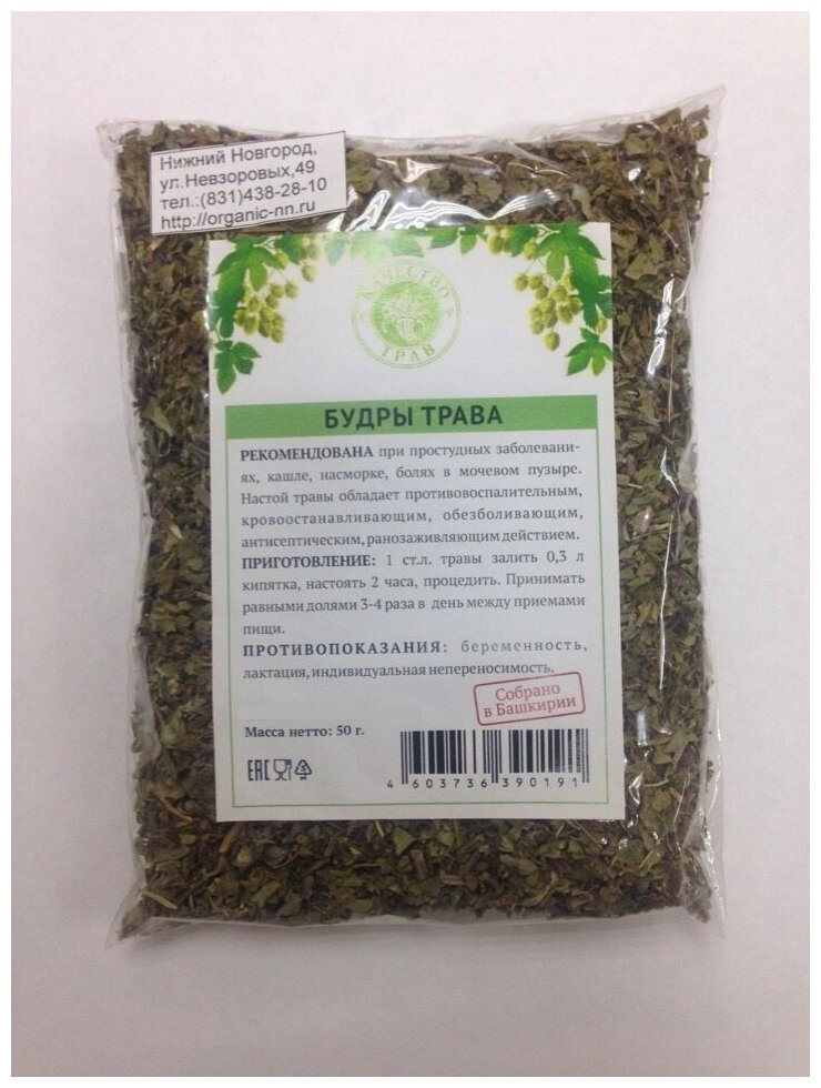 Будра плющевидная, трава 50 г (Качество трав) (Glechoma hederacea L.)