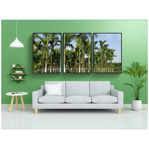 фото Набор модулных постеров для интерьера "плантация, орех ареки, пальма арека" 60x90 см. в тубусе, без рамки lotsprints