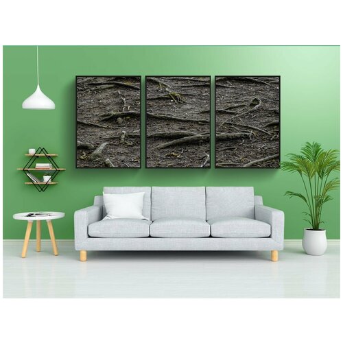 фото Набор модулных постеров для интерьера "корень, природа, пол" 60x90 см. в тубусе, без рамки lotsprints