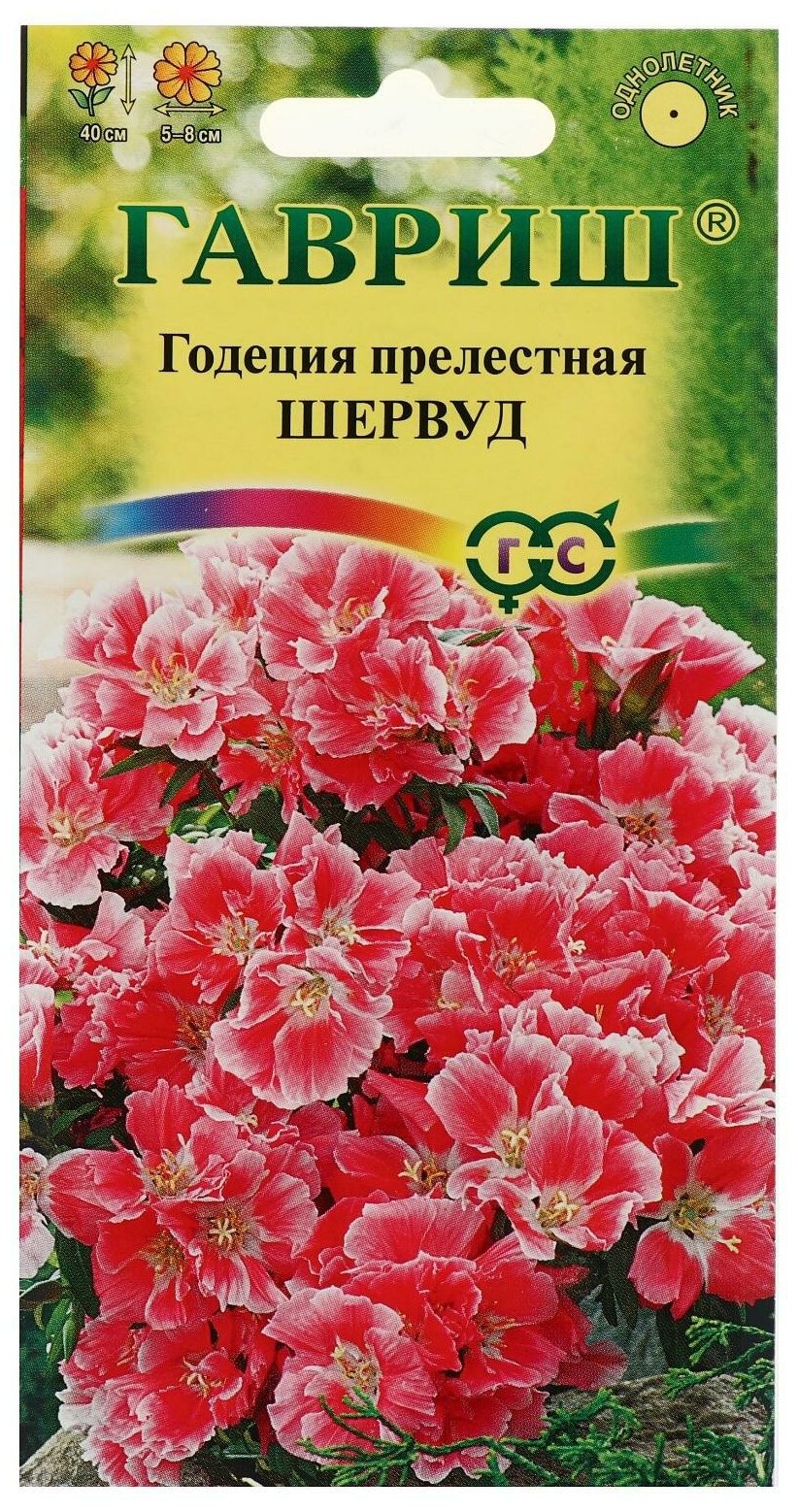 Семена цветов Годеция "Шервуд" махровая 01 г