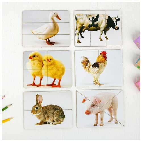 Разрезные картинки «Домашние животные» хомец н разрезные картинки слова