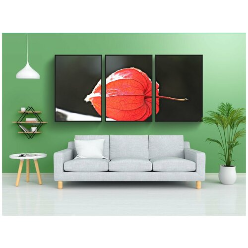 фото Набор модулных постеров для интерьера "лампион цветок, физалис алкекенги, декоративное растение" 60x90 см. в тубусе, без рамки lotsprints