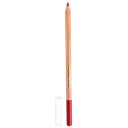 Набор 10 штук карандашей для губ, стойкий цвет, мягкое нанесение, не сушит губы оттенок 753.