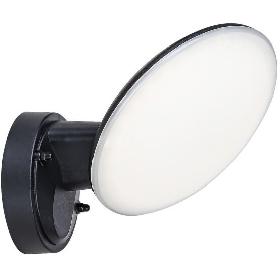 Уличный настенный светильник Escada Walk 10215/1LED