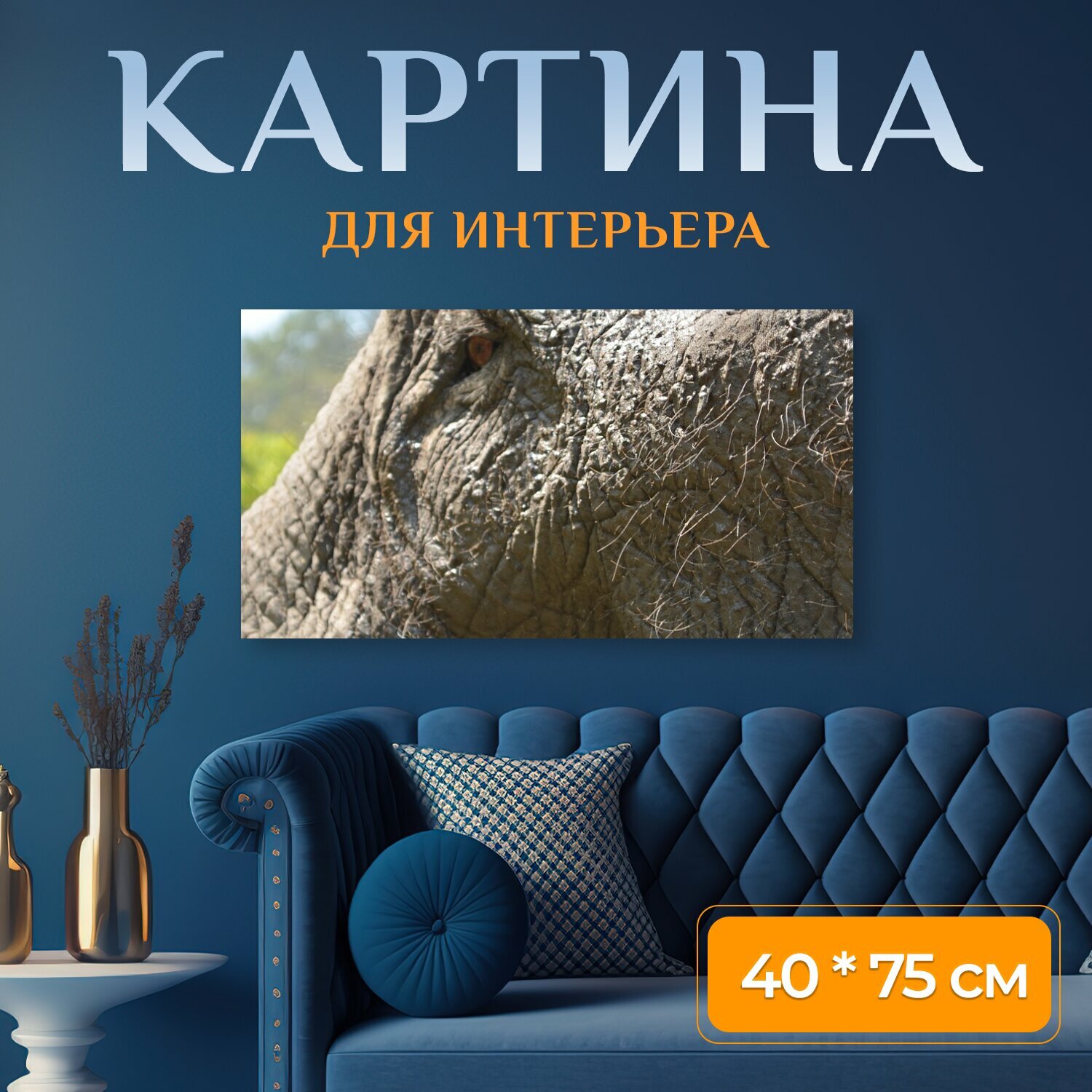 Картина на холсте "Таиланд, национальный парк, слон" на подрамнике 75х40 см. для интерьера