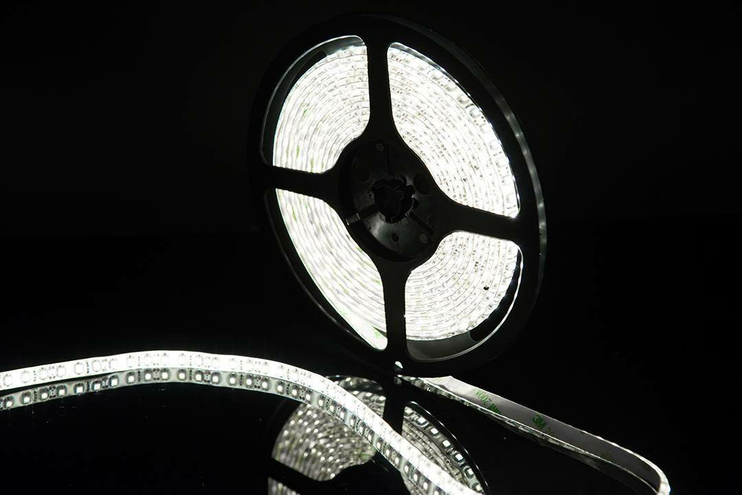 Светодиодная лента SWG SMD 3528 9.6 Вт/м 12В IP65 5м холодный белый свет (6500-8000K)