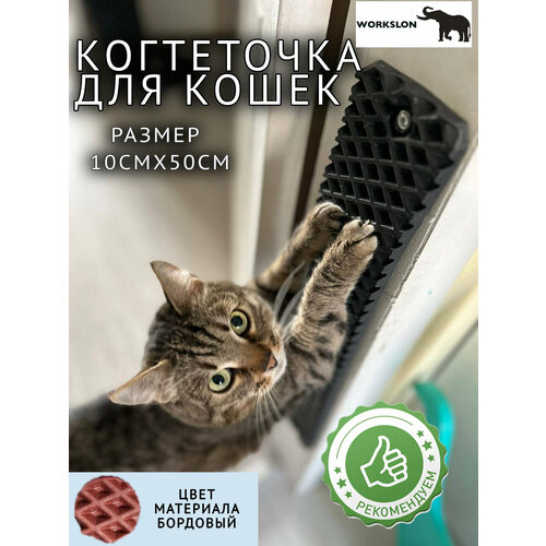 Когтеточка для кошек